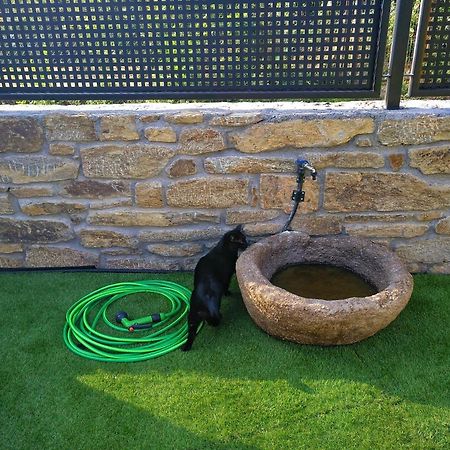 Casa Rural El Gato Negro Trefacio Dış mekan fotoğraf