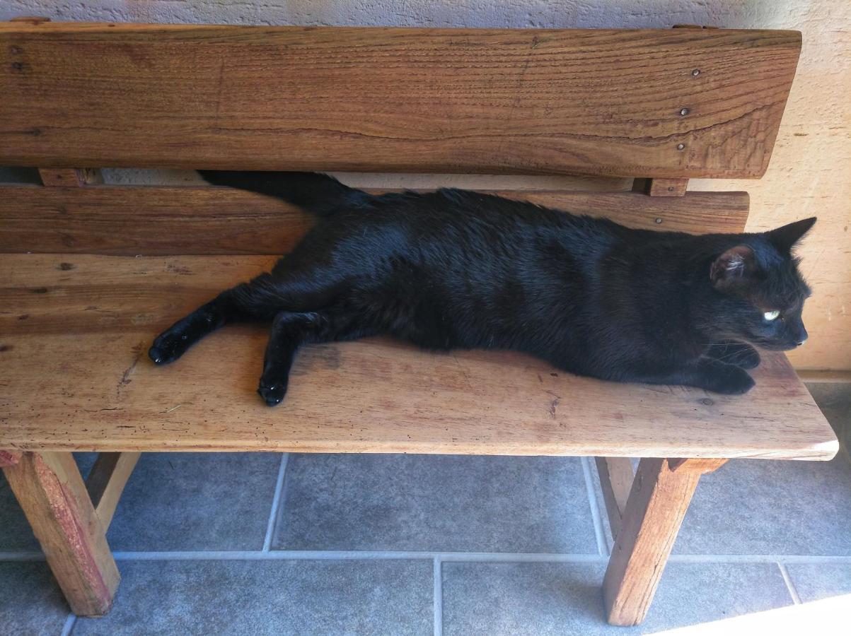 Casa Rural El Gato Negro Trefacio Dış mekan fotoğraf